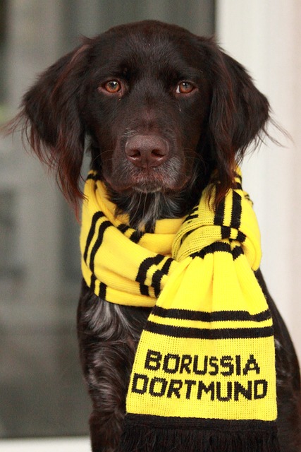 dortmund